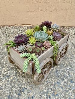 Wagon planter