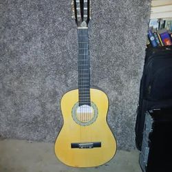 Classic Acoustic Guitar