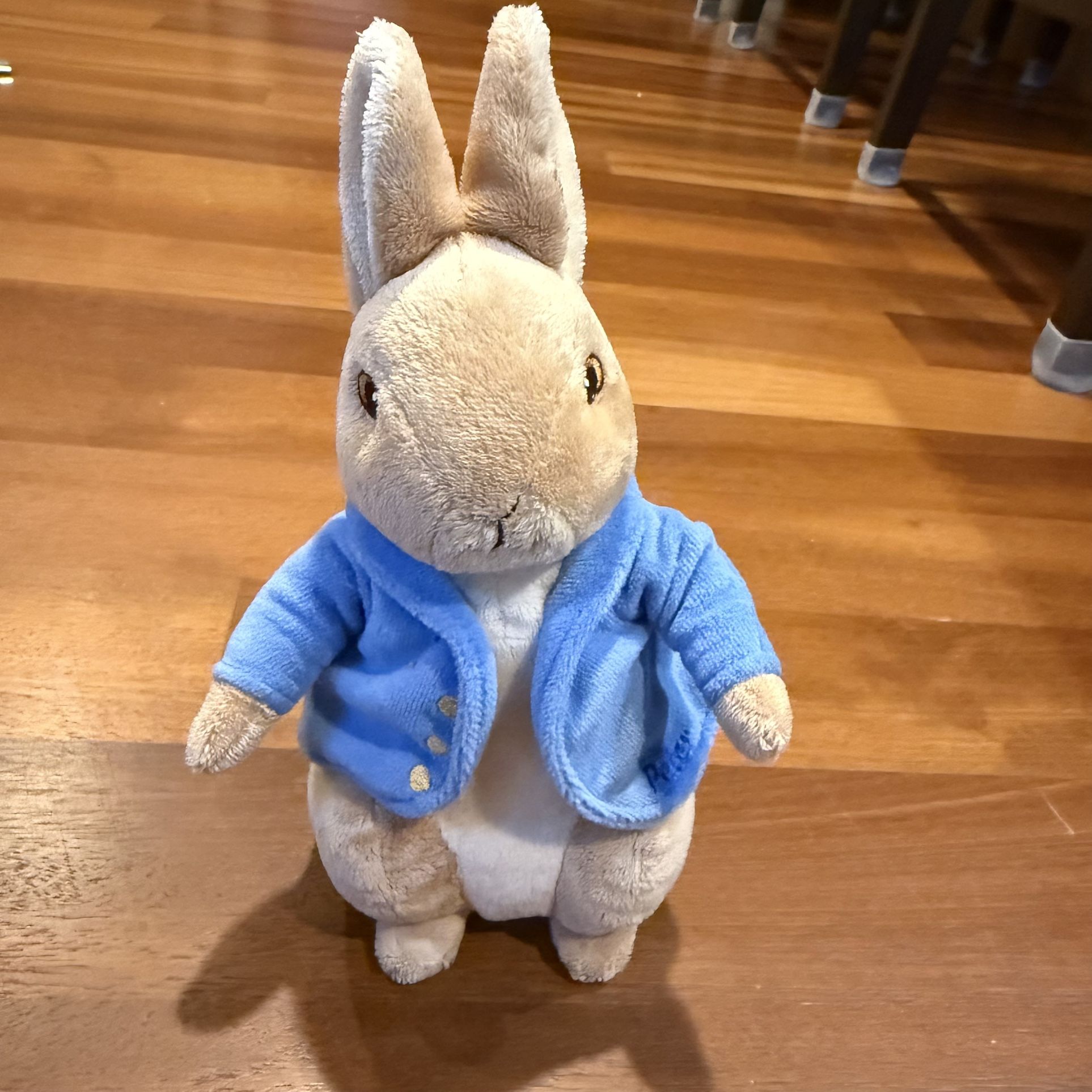 Peter Rabbit Plush 9” Stuffed Animal Augusta du Baye 2004 Frederick Warne & Co.
