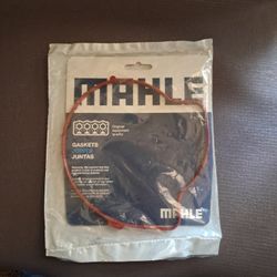 Water Pump Gasket  