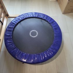 Adult Trampoline