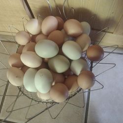 Se venden 🥚 Egg $4 La Docena 100 Por Siento Organicos