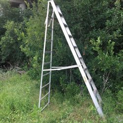 10 Foot Folding Ladder