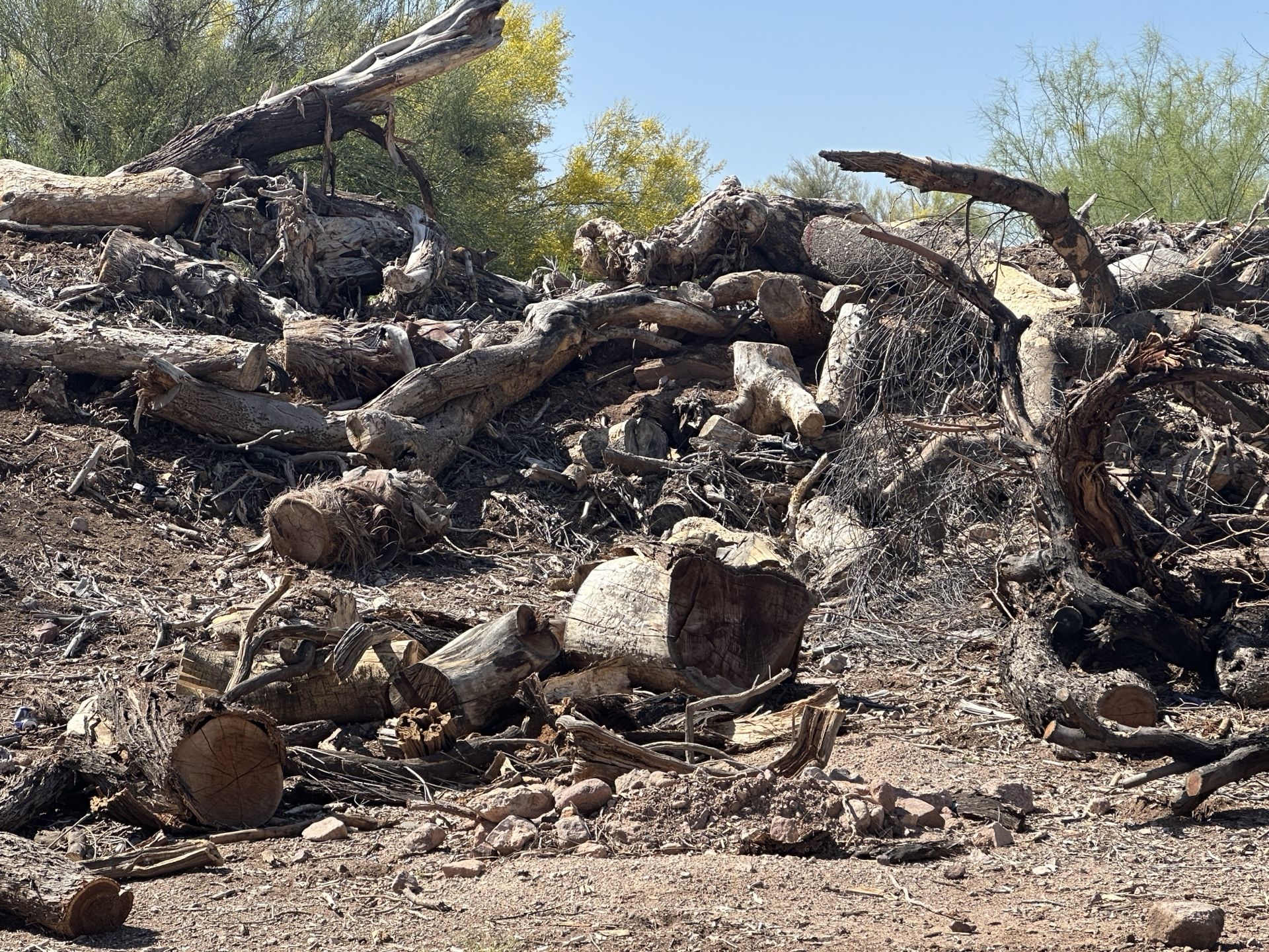 Firewood