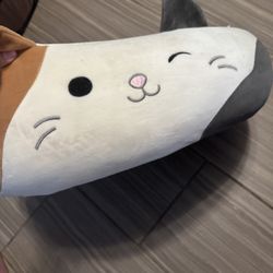 FREE Squish mellow Dog Bed