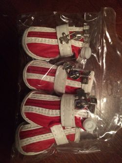 Xsmall dog shoes