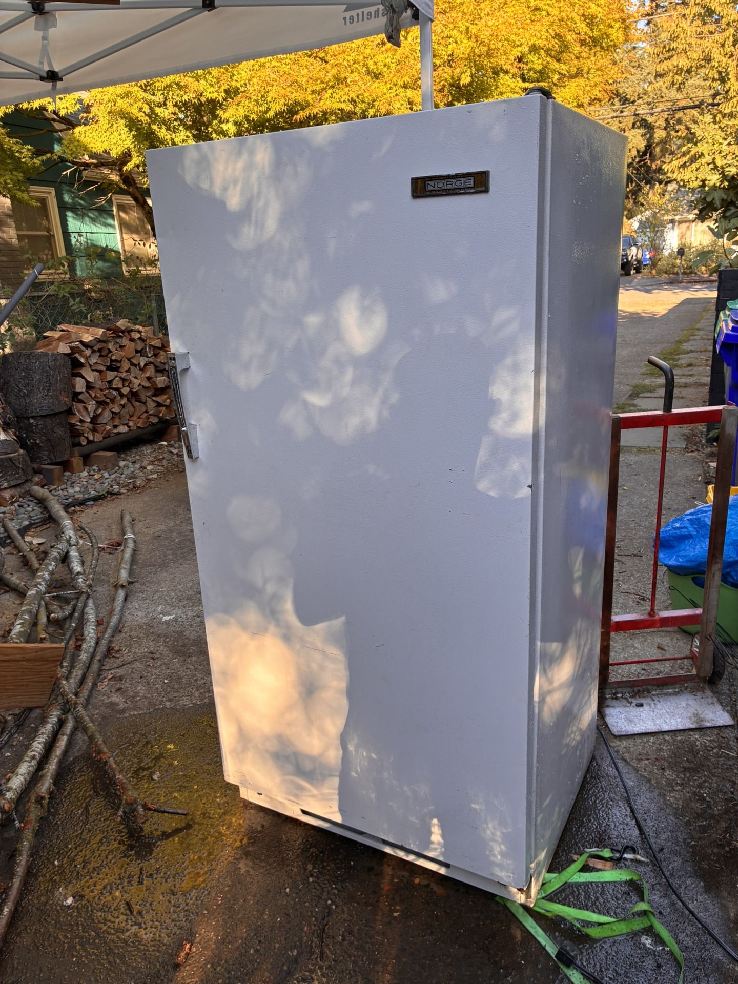 Standing Freezer 