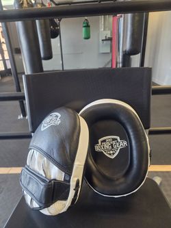 Boxing Mitts