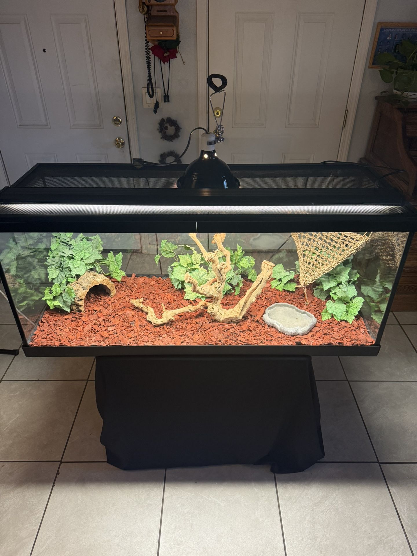 Reptile/Terrarium/Aquarium 75 Gallons With Set Up (Have More Tanks Available) ( No Animals Included ) *** Good Condition ***