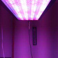 Grow Light 