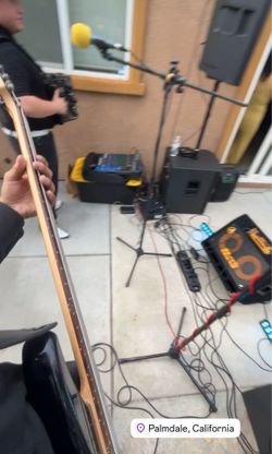 Bass grupo