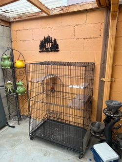 Cage
