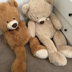 Teddy Bears