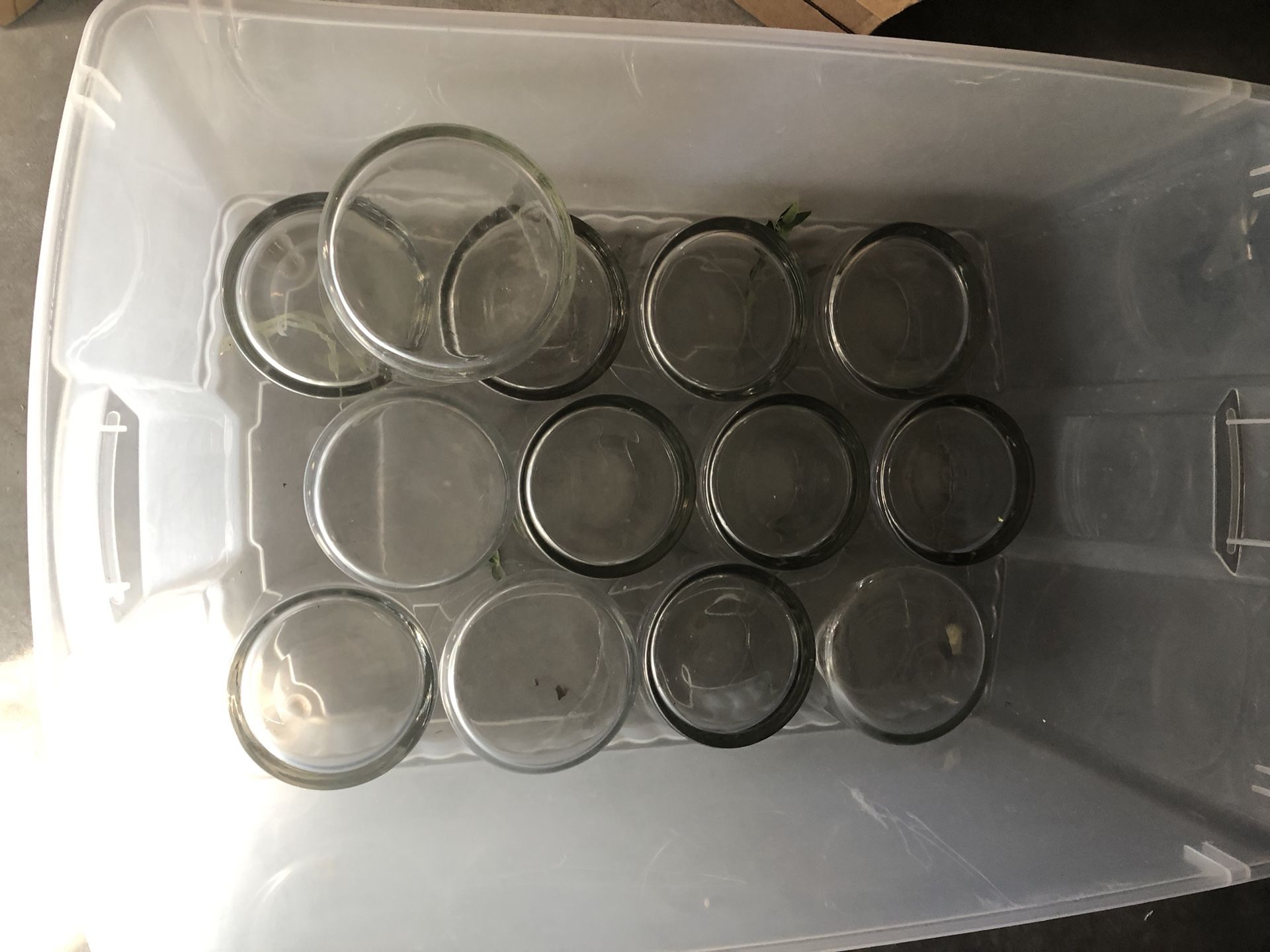 Wedding Centerpiece Vases