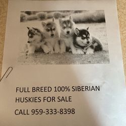 If You Want One Let Me Know