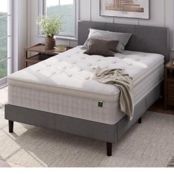 Zinus 13 Inch Euro Top Pocket Spring Hybrid Mattress, King, Pressure Relief, Pocket Innersprings for Motion Isolation, Mattress in A Box
