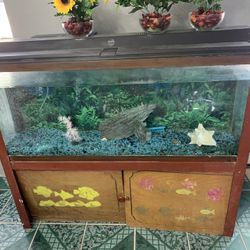 Huge Fish Tank For Sale 