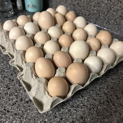 organic farm fresh eggs 