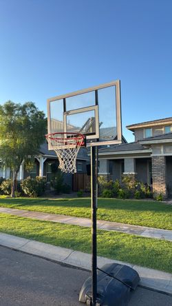 Lifetime Portable Basketball Hoop
