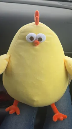 DUNDUN Chicken Plush