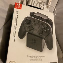 Nintendo Switch Pro Controller Charger