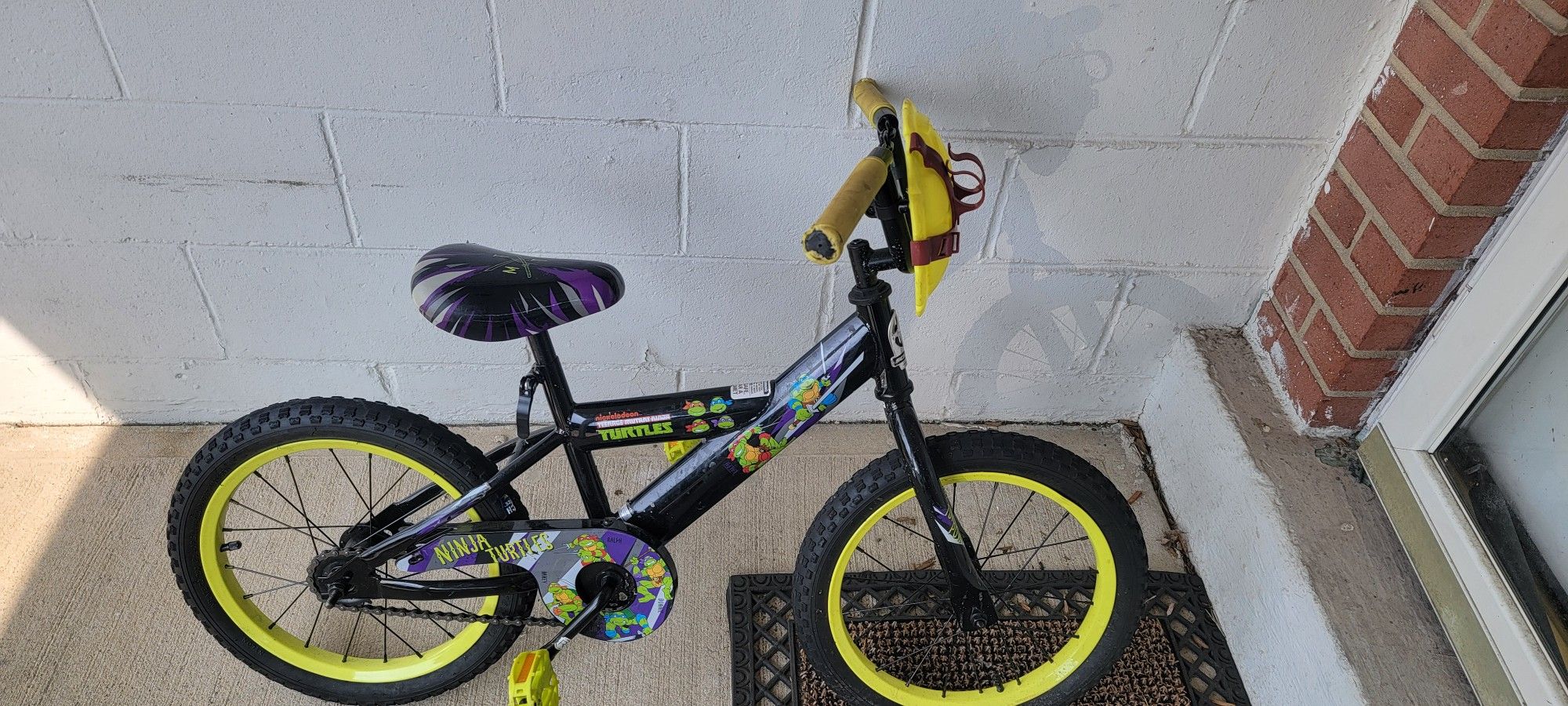 Ninja Turtle Bike