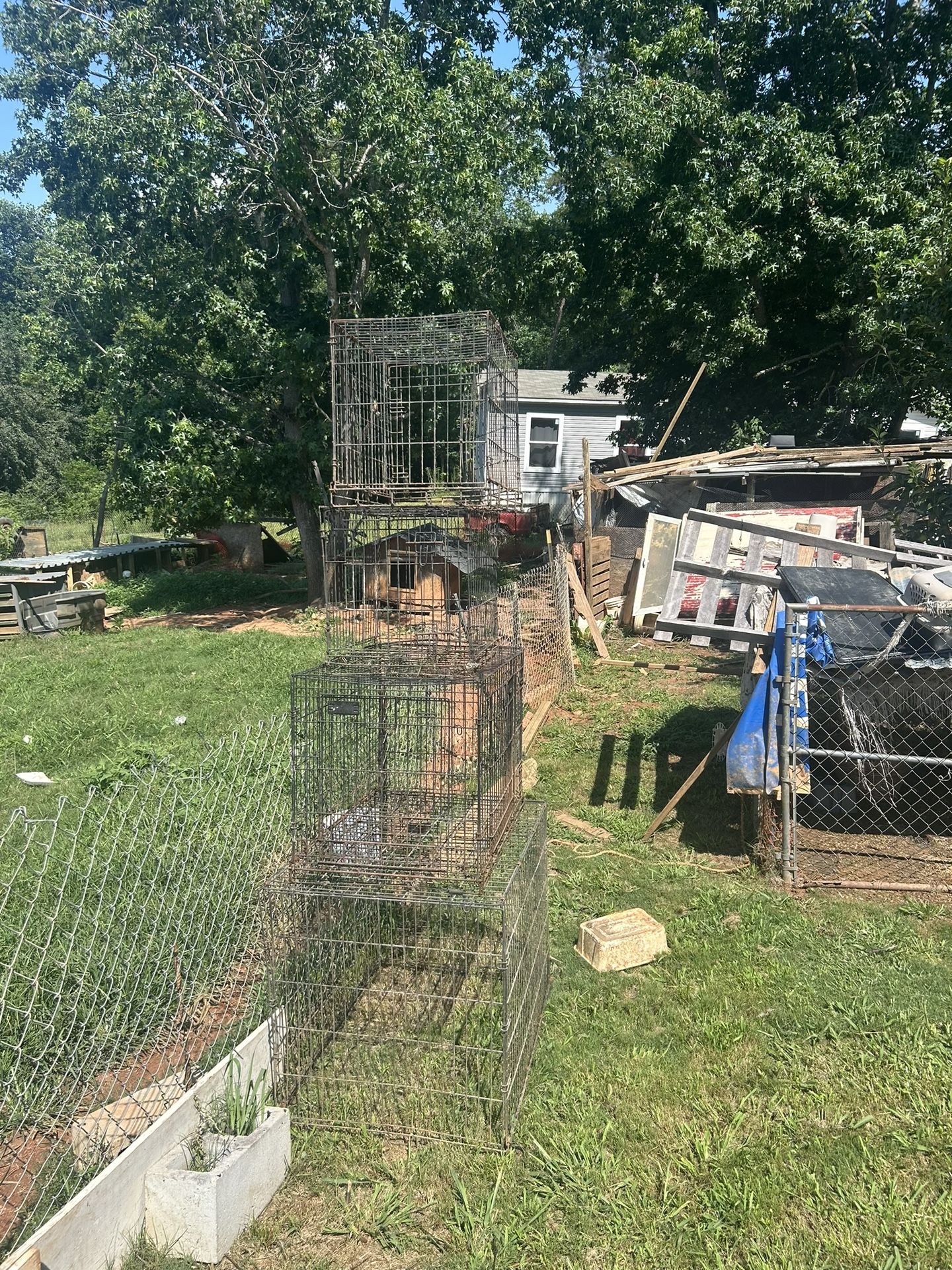 Cages 