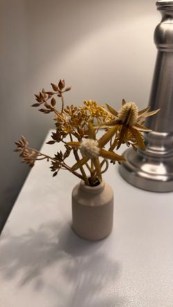 Plant decoration