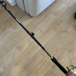 Shimano Torsa 30 reel and Shimano sbw fishing rod pole