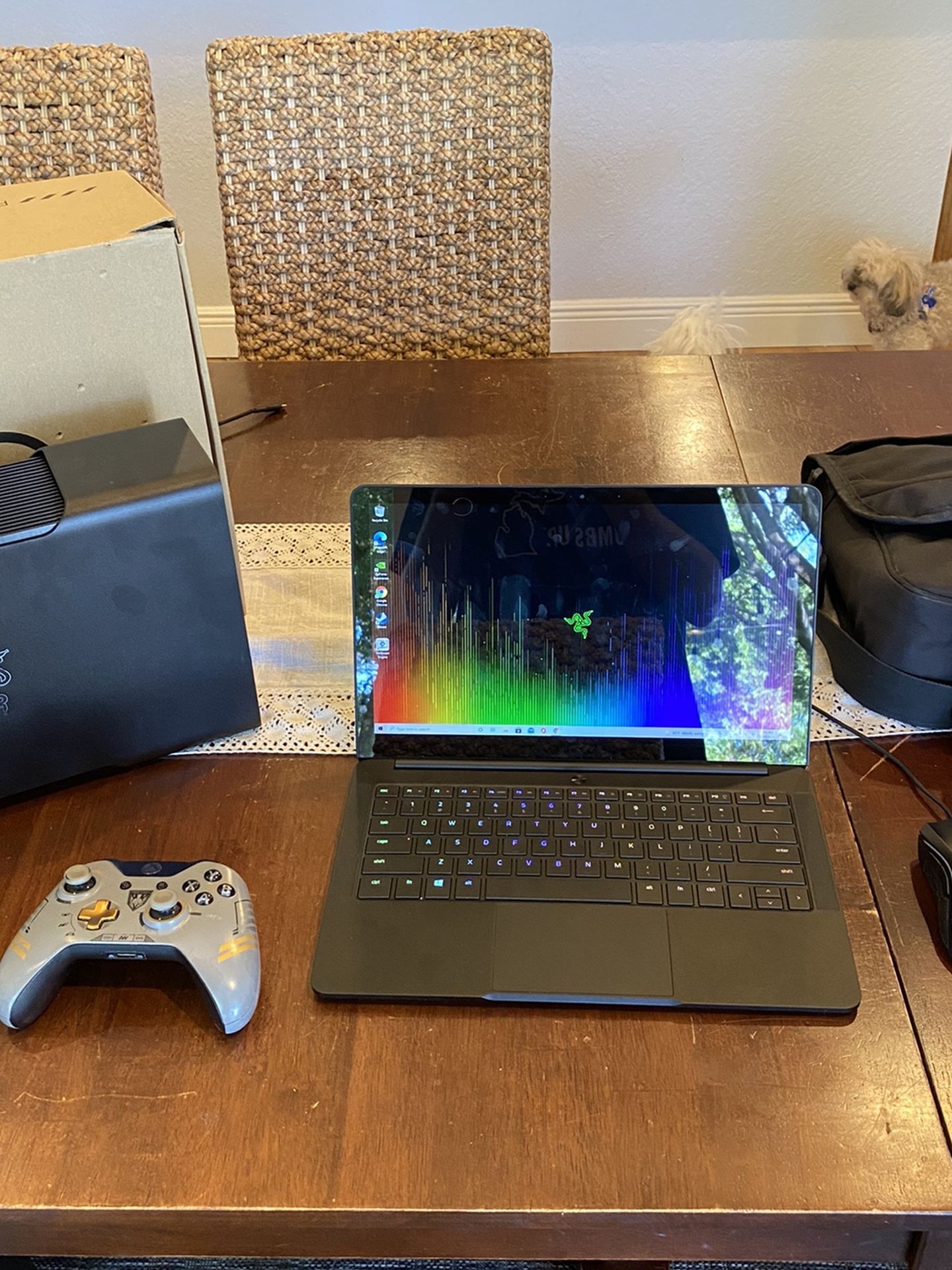 Razer Blade Stealth with Razer Core X Egpu