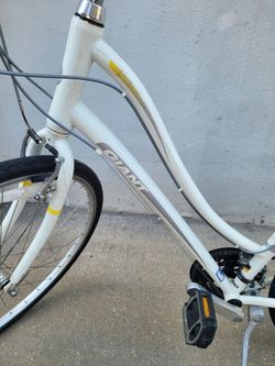 Giant bicycle