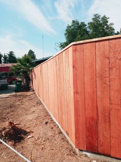 Fence 