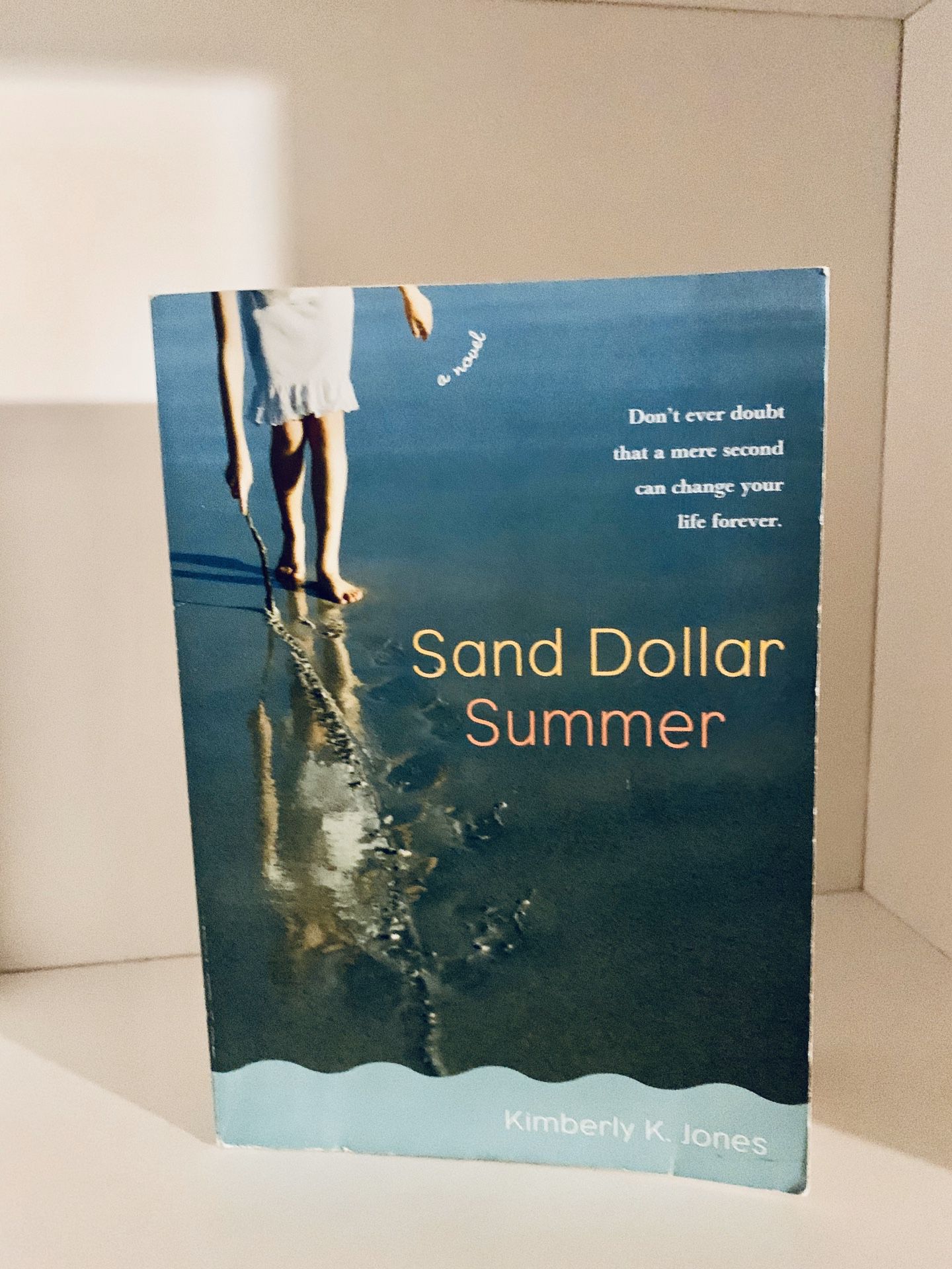 Sand dollar Summer book