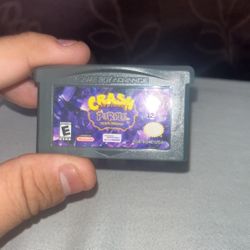 Crash Purple