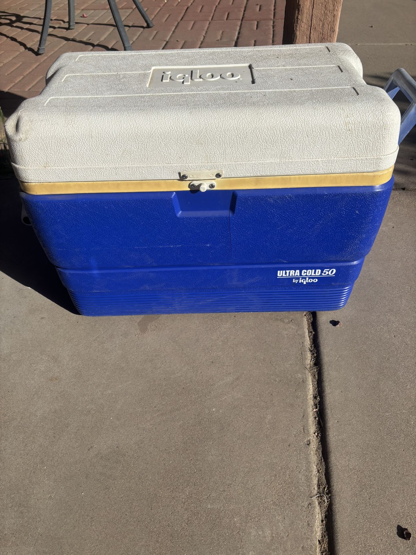 Medium Sized Igloo Cooler