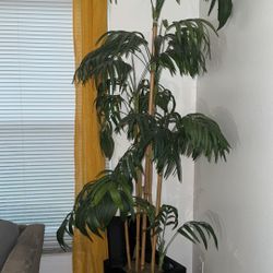 Fake House Plant