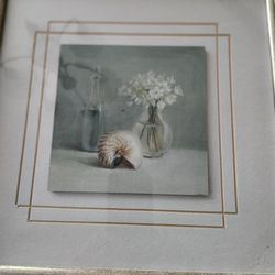 Beautiful  calm shell print $5