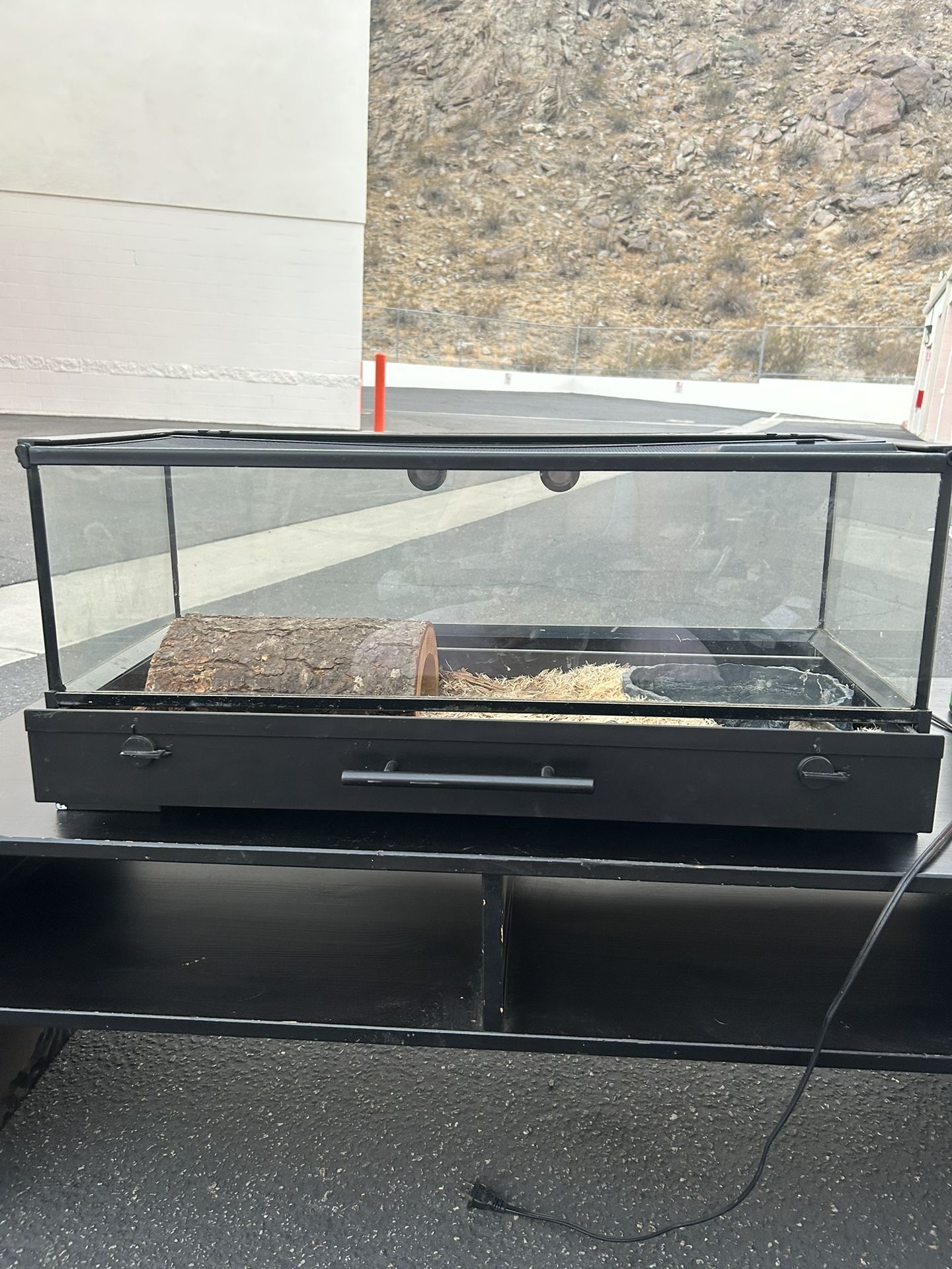 Terrarium