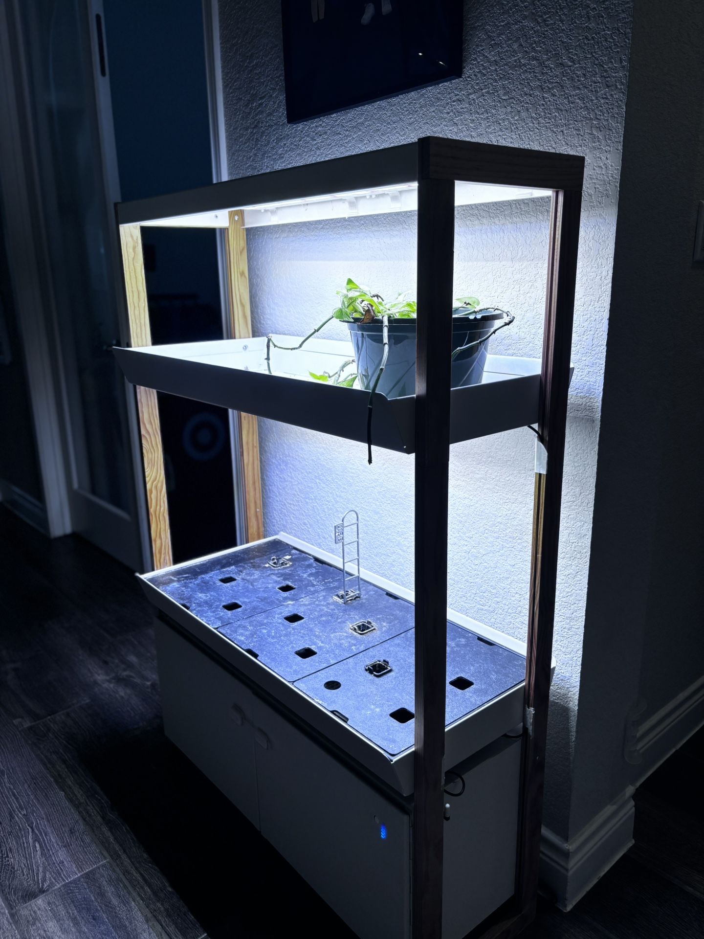 Rise Hydroponic Family Garden (2 Level)