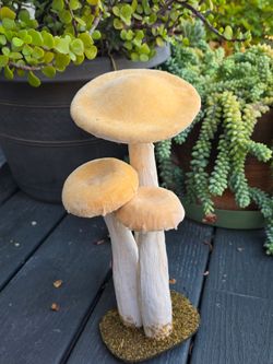 Decorated Mushrooms