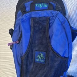 Evenflo child carrier