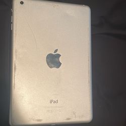 iPad Mini 2
