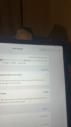 Ipad Pro 12.9 inch 256gb 4th generation