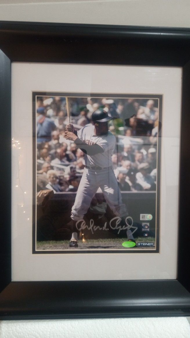 MLB Memorabilia