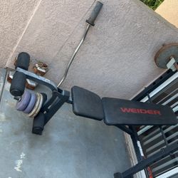 Bench press Bench