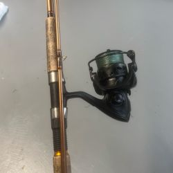 Berkeley Buzz Ramsey Air Rod And Piscifun Reel