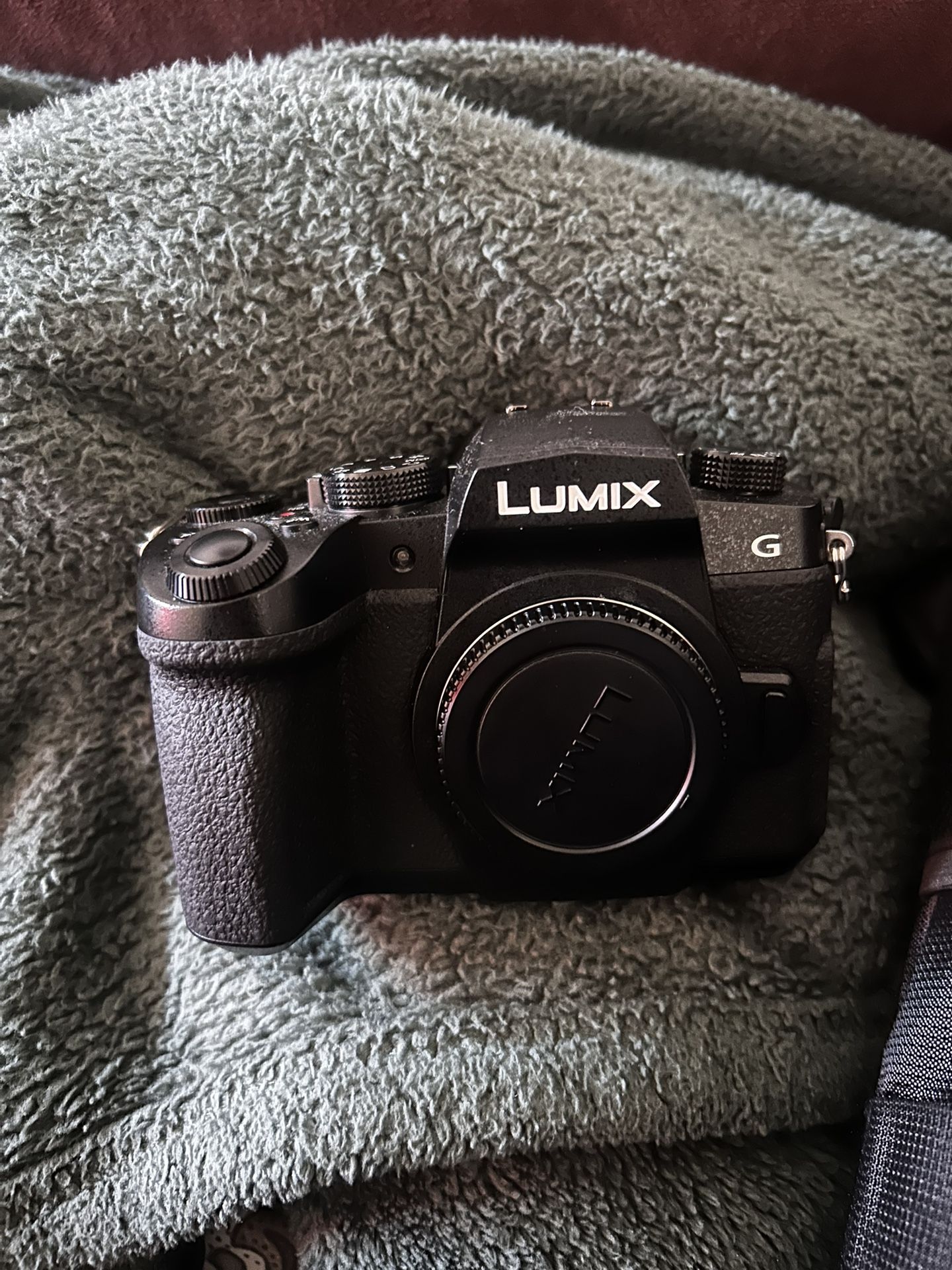Panasonic Lumix G95 Hybrid Mirrorless Camera