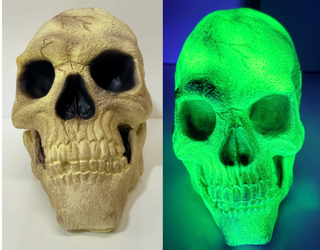 Y2K VTG LIFE SIZE PROP 90s Skeleton head BLACKLIGHT GLOWS GREEN Halloween