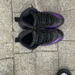 Black nd Purple Jordan 12s