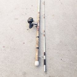Fishing Pole With Reel
